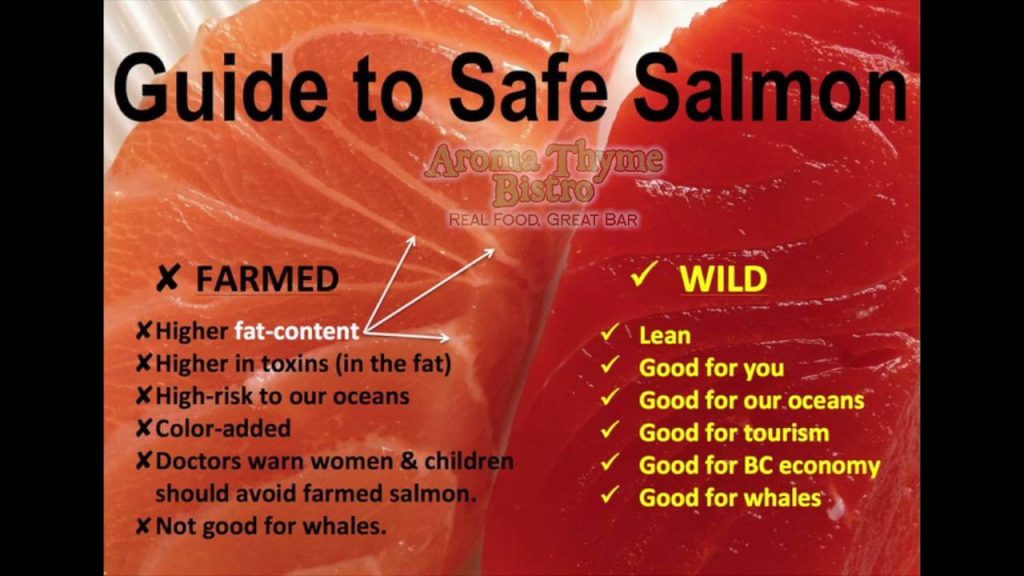 Farmed versus wild salmon